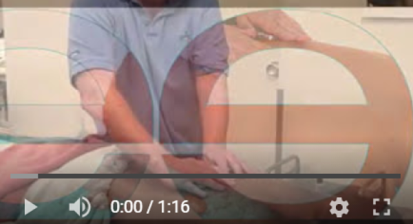 BODY magneetmassage training (basis) - Afbeelding 5